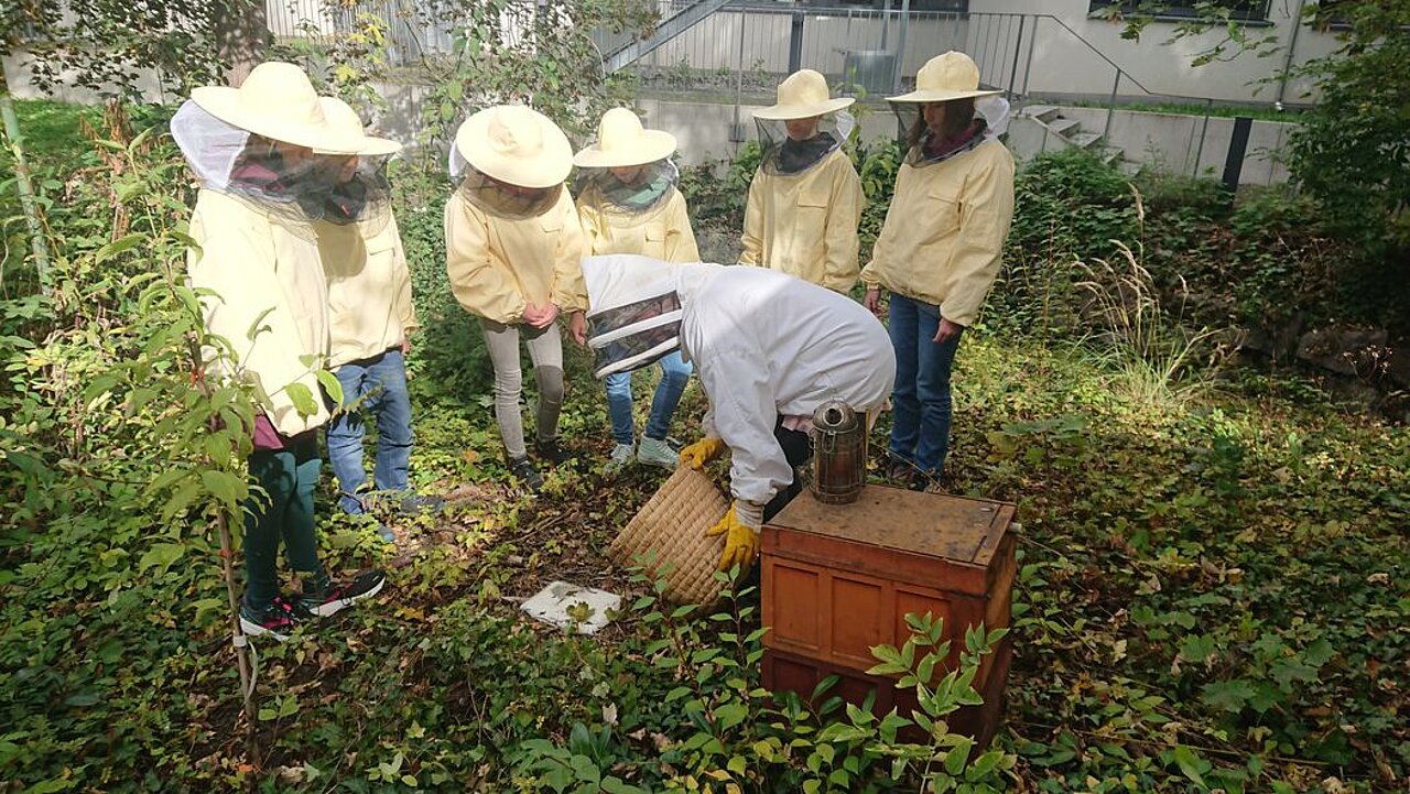 SchülerInnen arbeiten mit Imker zusammen an einem Bienenstock 