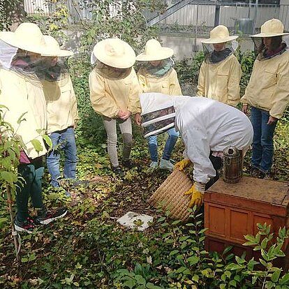 SchülerInnen arbeiten mit Imker zusammen an einem Bienenstock 