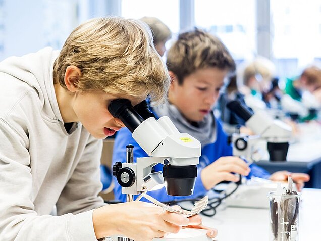 Schüler beim Mikroskkopieren